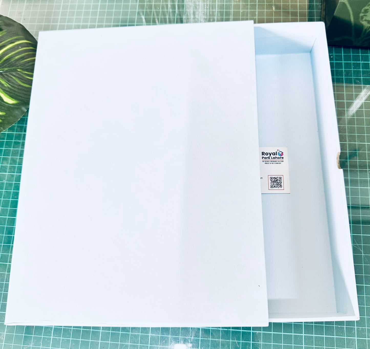 Rigid Boxes
