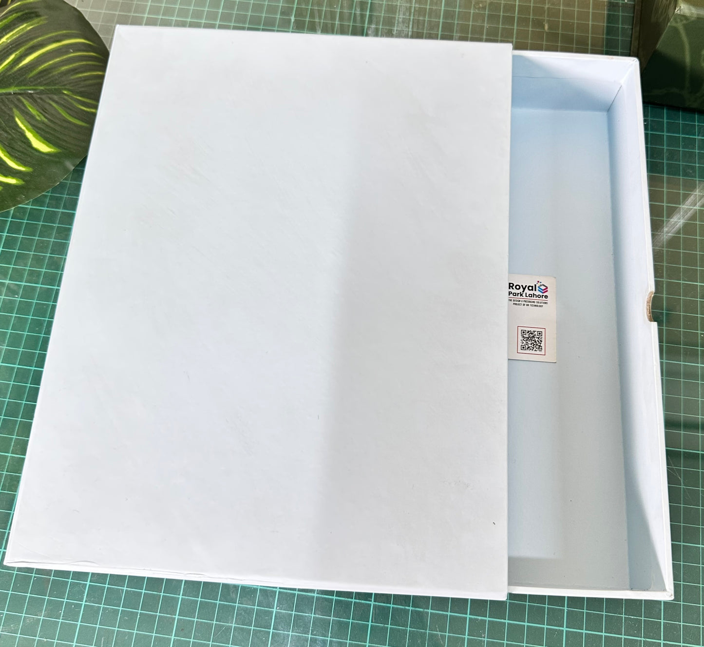 Rigid Boxes